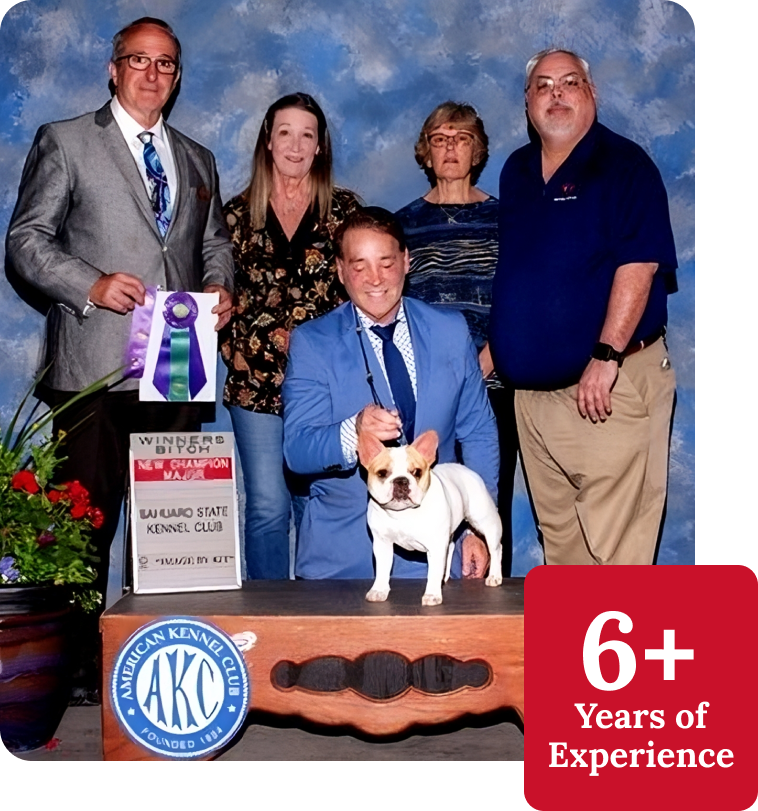 AKC Dog Show Winner 2025